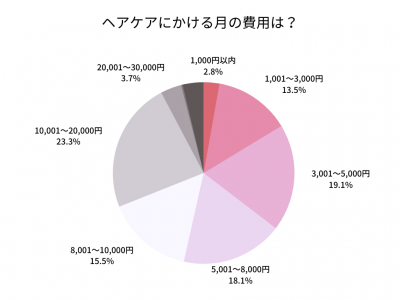 月にかけるヘアケア費用