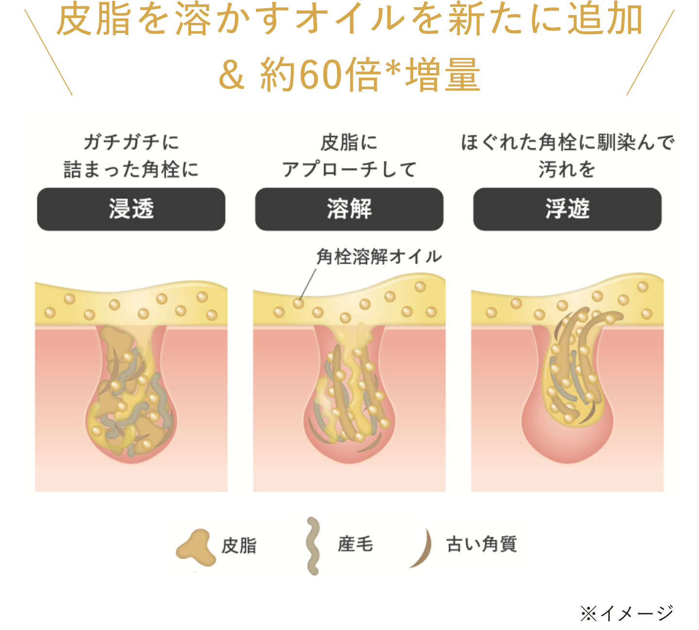 角栓溶解オイルが、皮脂や毛穴の奥に詰まった汚れを溶かす